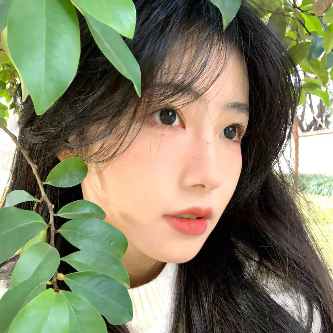 最后的美丽